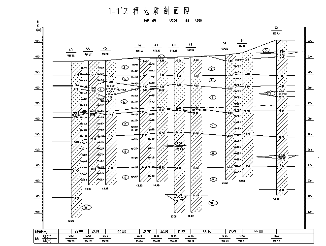 凱撒1.png